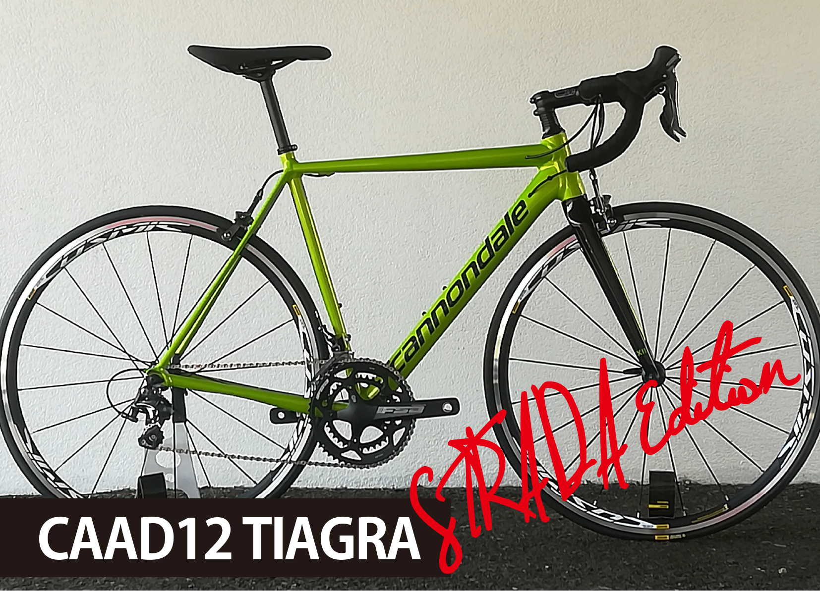 STRADA EDITION］CAAD12 TIAGRA ＋ COSMIC ELITE UST | お知らせ
