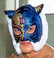 4代目タイガーマスク・覆面の変遷