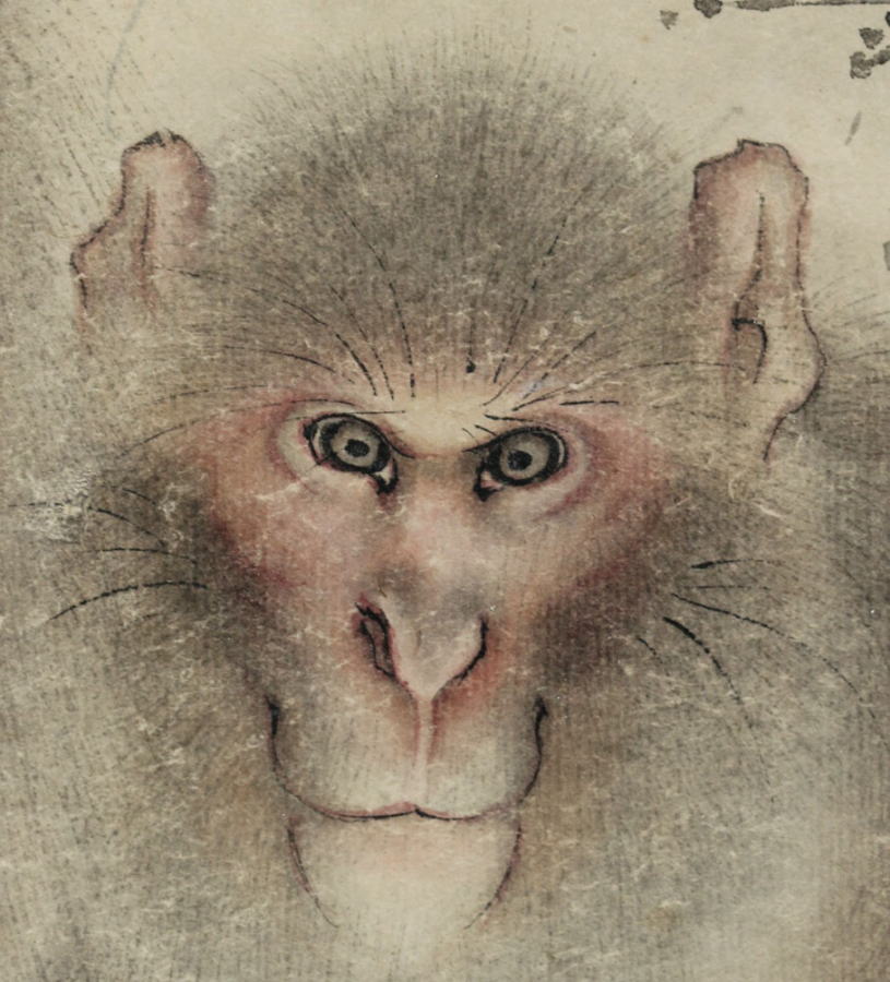 森狙仙 岩上双猿図