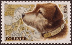 山中湖のペットと泊まれるペンション：スペースワン(宿泊・お預かり