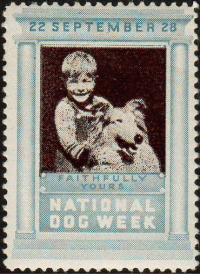 山中湖のペットと泊まれるペンション：スペースワン(宿泊・お預かり