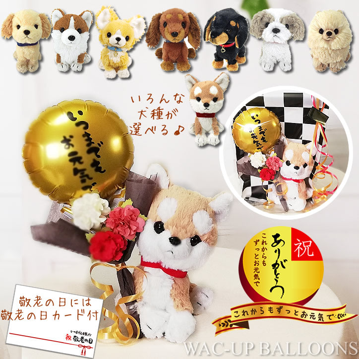 敬老 還暦 古希 喜寿 傘寿 米寿 卒寿 白寿 ぬいぐるみ チワワ/トイ