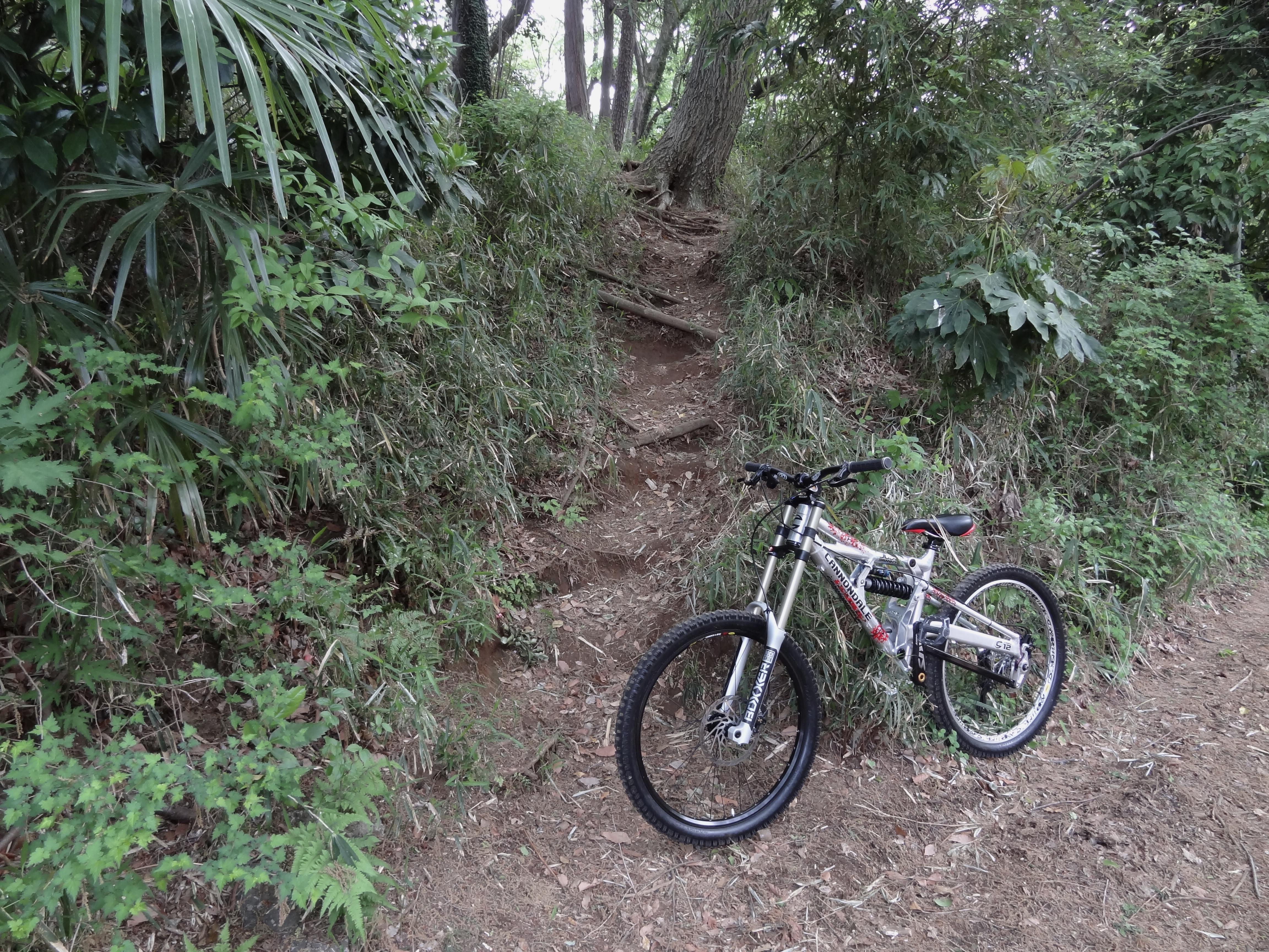 Cannondale Judge 弐号機 | ICOの秘密