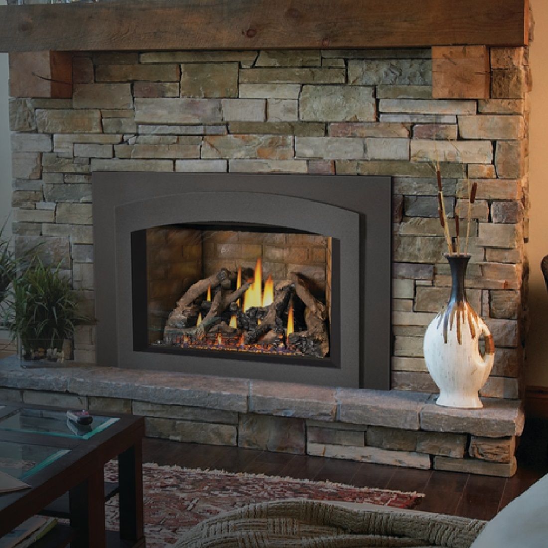 Napoleon Oakville GDIX4N-1 Direct Vent Gas Burning Insert