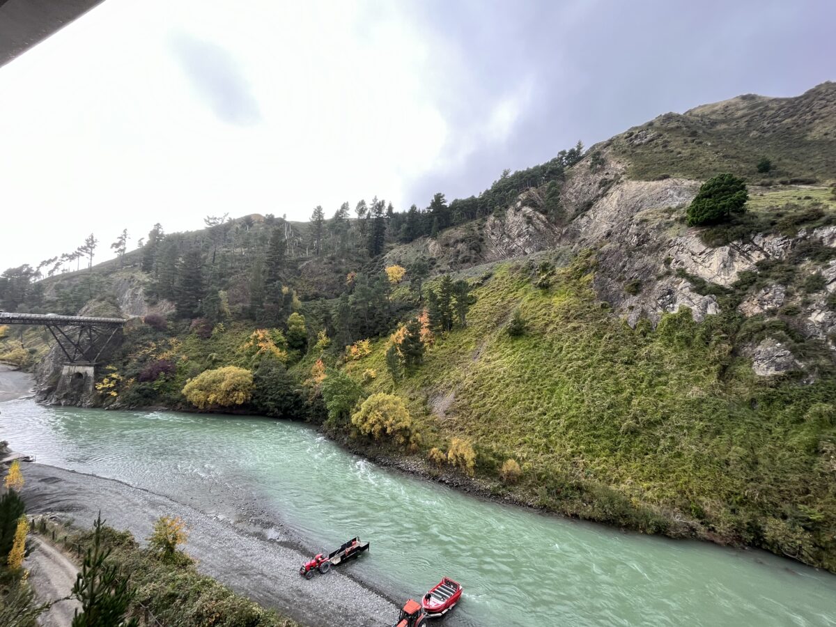 固有種の国ニュージーランド 〜留学経験者が語る、ここでしか会えない