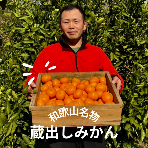 和歌山名物】蔵で熟成！志賀農園の蔵出しみかん3kg~ | 5STAR MARCHE