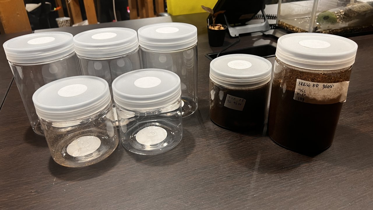 100均で作ろう！『幼虫飼育ボトル』 | 六脚堂｜本能のままに生きる