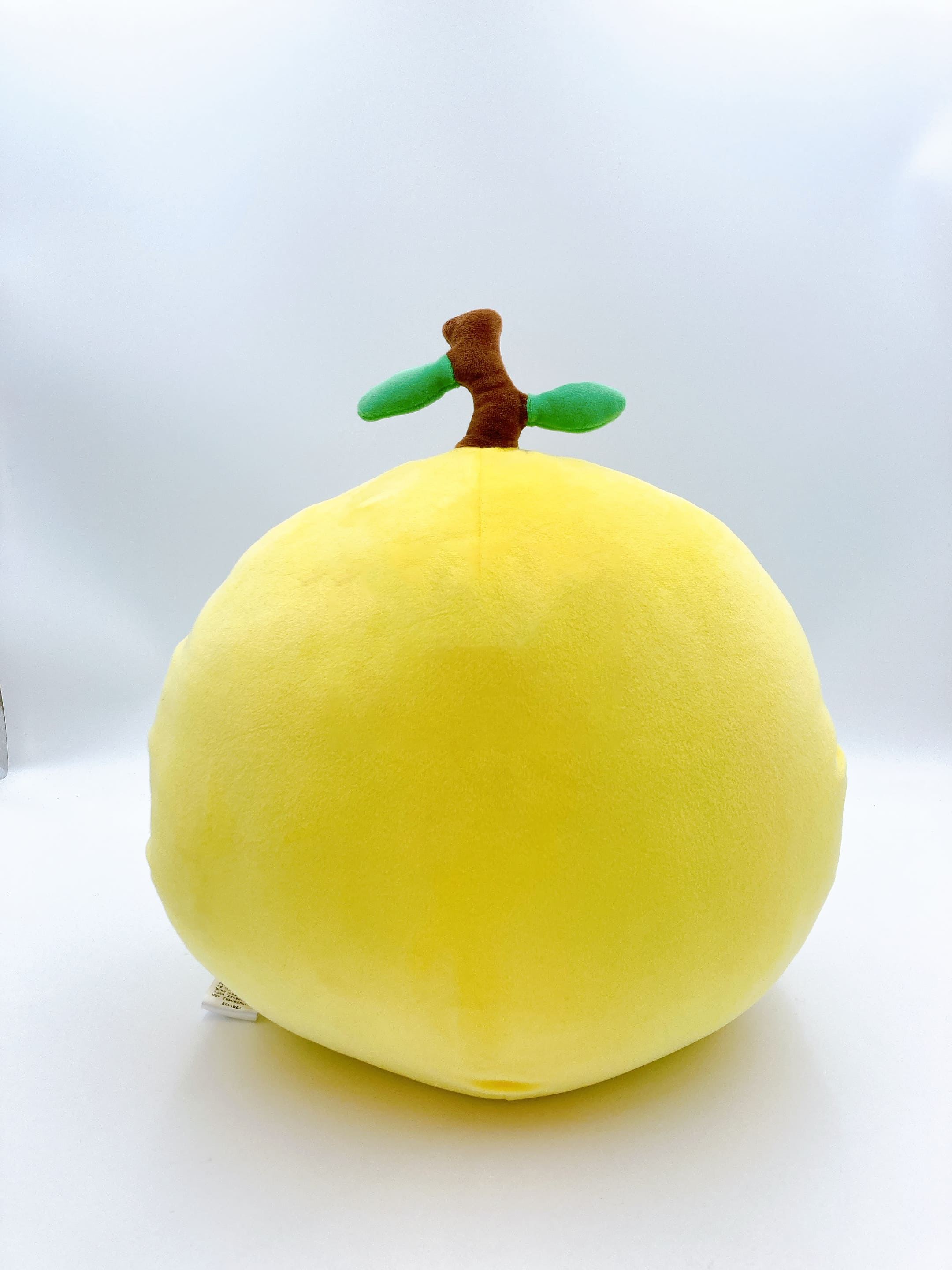 ゆず アーティスト特設サイト｜最新情報 / リリース情報 / ライヴ情報