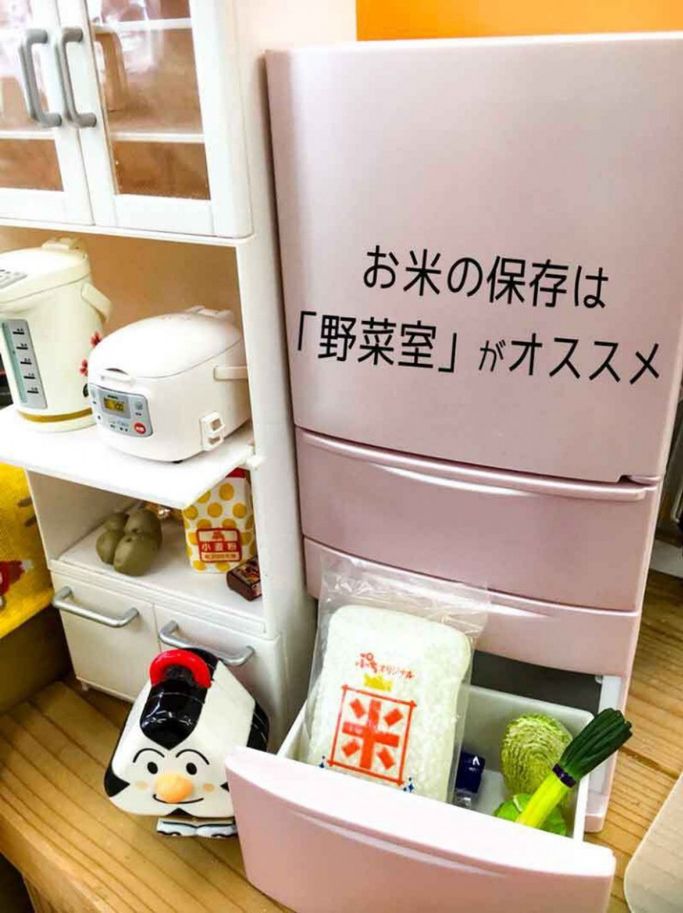 お米の保存は【冷蔵庫・野菜室】がオススメな理由