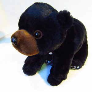 チャーリーベアーズ 】Destiny | | テディベア通販お探しなら美術館