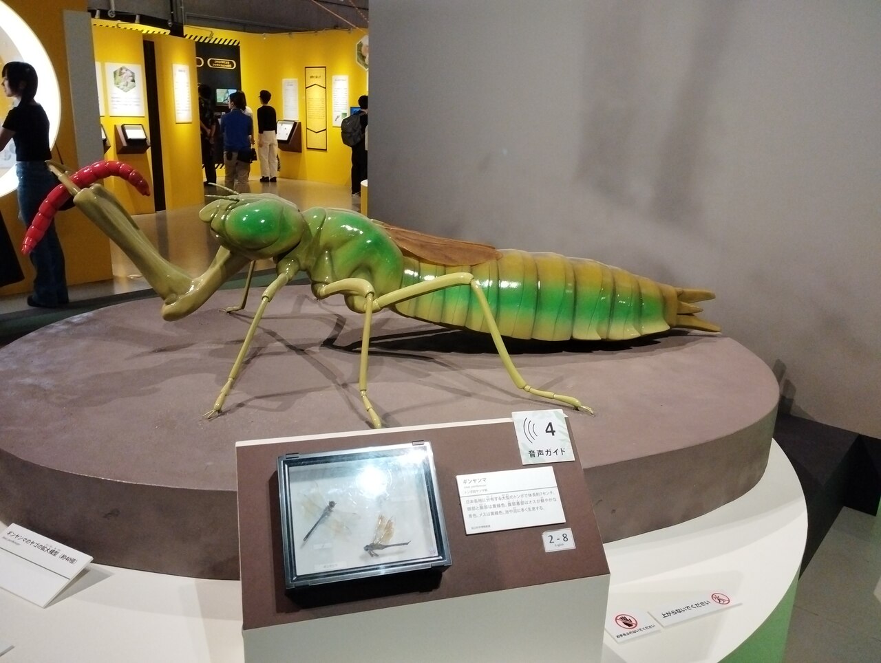 特別展「昆虫MANIAC」に行ってきました！ | 3B実用芸術研究所 3B