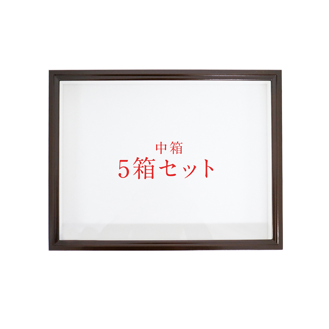 中箱 昆虫標本箱（ドイツ箱）