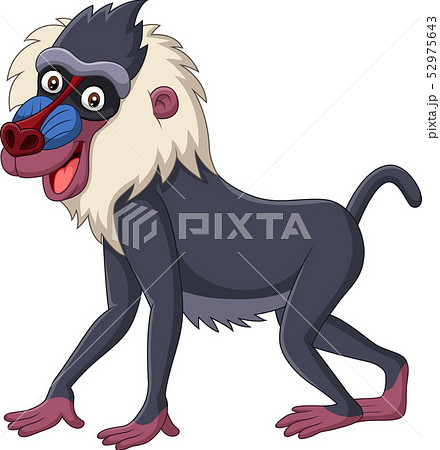 Cartoon mandrill baboon isolated のイラスト素材 [52975643] - PIXTA