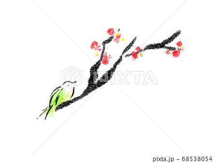 梅とうぐいすの水墨画のイラスト素材 [68538054] - PIXTA