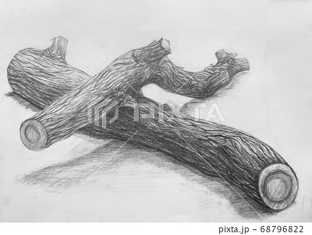 枝の切れ端のデッサンのイラスト素材 [68796822] - PIXTA