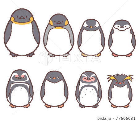 ペンギン8種類セットのイラスト素材 [77606031] - PIXTA