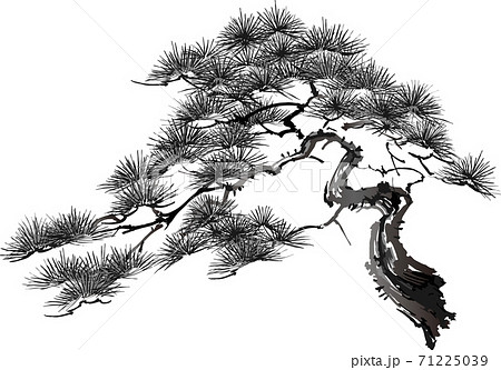 松 老松 白黒 墨絵 水墨画のイラスト素材 [71225039] - PIXTA