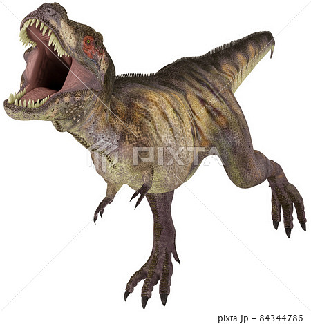 T-REX☆ティラノサウルス☆Tyrannosaurのイラスト素材 [84344786] - PIXTA