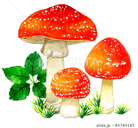 かわいい毒キノコのイラスト ベニテングタケの手描き水彩イラスト素材