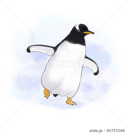 動物園のジェンツーペンギンのイラスト素材 [85755566] - PIXTA