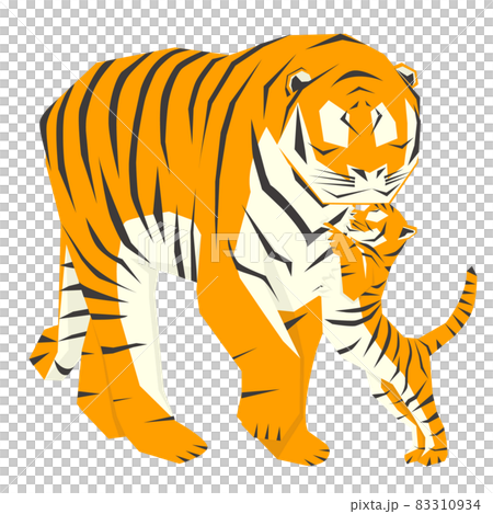 2匹の虎の親子のイラストのイラスト素材 [83310934] - PIXTA