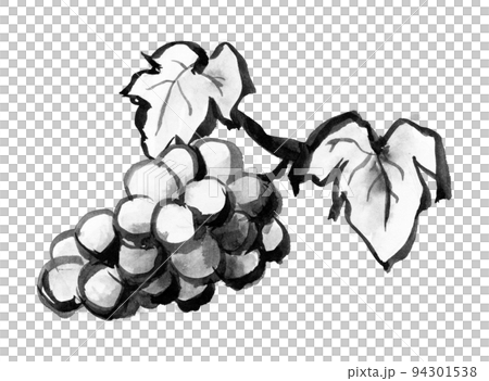 筆のにじみをいかして描いた葡萄の和風イラスト（水墨画）のイラスト
