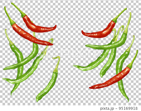 手描き水彩の赤唐辛子と青唐辛子イラストワンポイントセットのイラスト