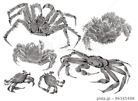 水彩で描いたタラバ蟹 花咲蟹 ズワイガニ 渡蟹 毛蟹の水墨画風セット