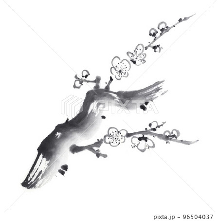 梅の花 水墨画のイラスト素材 [96504037] - PIXTA