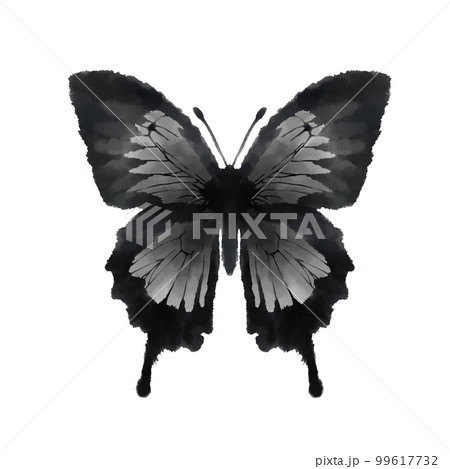 水彩風のにじみのある黒い蝶、チョウの手描きイラストのイラスト素材