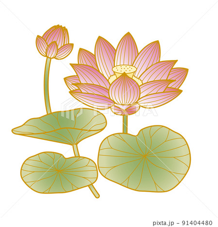 Lotus flower Japanese pattern - Stock Illustration [91404480] - PIXTA