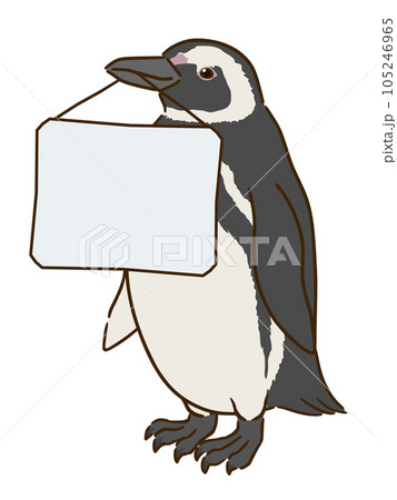 メッセージボードをくわえるマゼランペンギンのイラスト素材