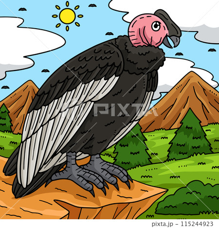 Andean Condor Bird Colored Cartoon Illustrationのイラスト素材