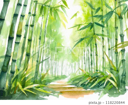 水彩画で描かれた竹林のイラスト素材 [118220844] - PIXTA