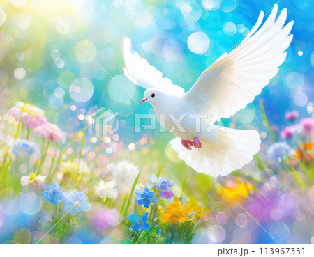 カラフルな春の花畑で、白い鳩が青空に舞い上がるのイラスト素材