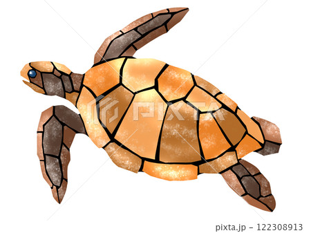 ウミガメの綺麗なタイル画風切り絵イラストのイラスト素材 [122308913