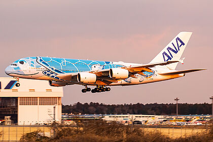 ANA Group | Latest Photos | Planespotters.net | Planespotters.net