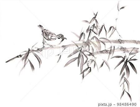 雀 竹 鳥 水墨画のイラスト素材 - PIXTA