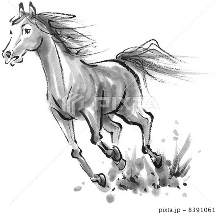 駆ける馬の写真素材 - PIXTA