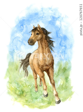 駆ける馬の写真素材 - PIXTA