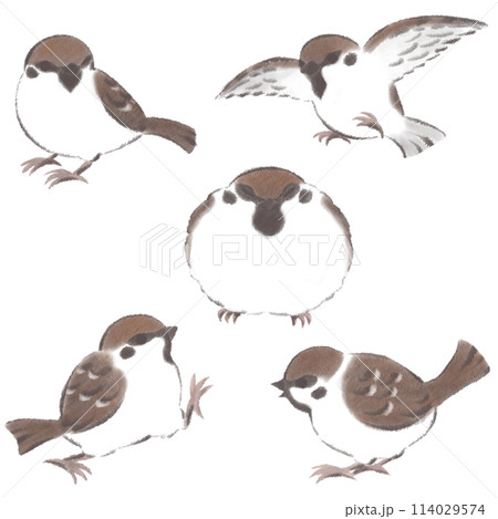 墨絵 水墨画 鳥 小鳥のイラスト素材 - PIXTA