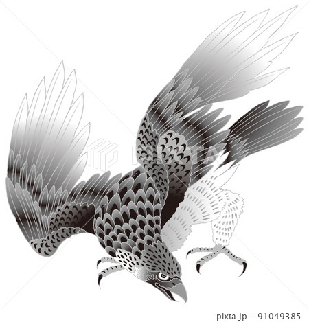 墨絵 水墨画 鷲 鳥のイラスト素材 - PIXTA