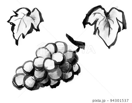 葡萄 ぶどう 水墨画 果物の写真素材 - PIXTA