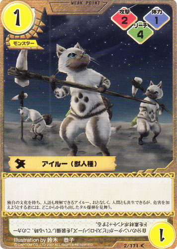 モンスターハンター トレーディングカードゲーム(28 枚)