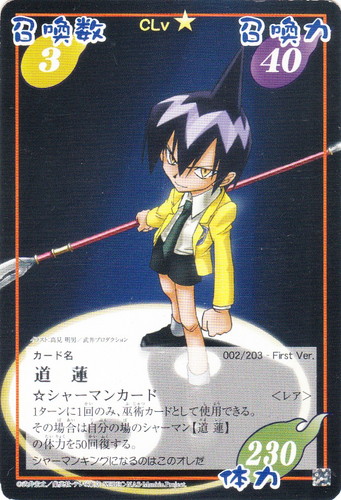シャーマンキング 超・占事略決(238枚)