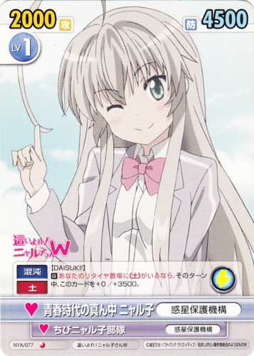 ヴィクトリースパーク(564枚)