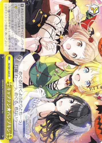 ヴァイスシュヴァルツ(4124枚)