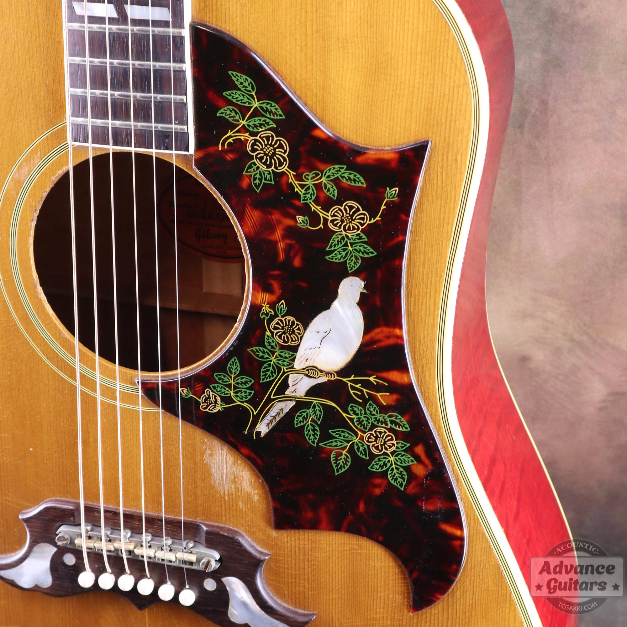 1963年製 Dove Natural