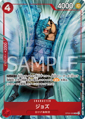 XANXUS＆S・スクアーロ CCG PRカード 十年後 XANXUS＆S・スクアーロ