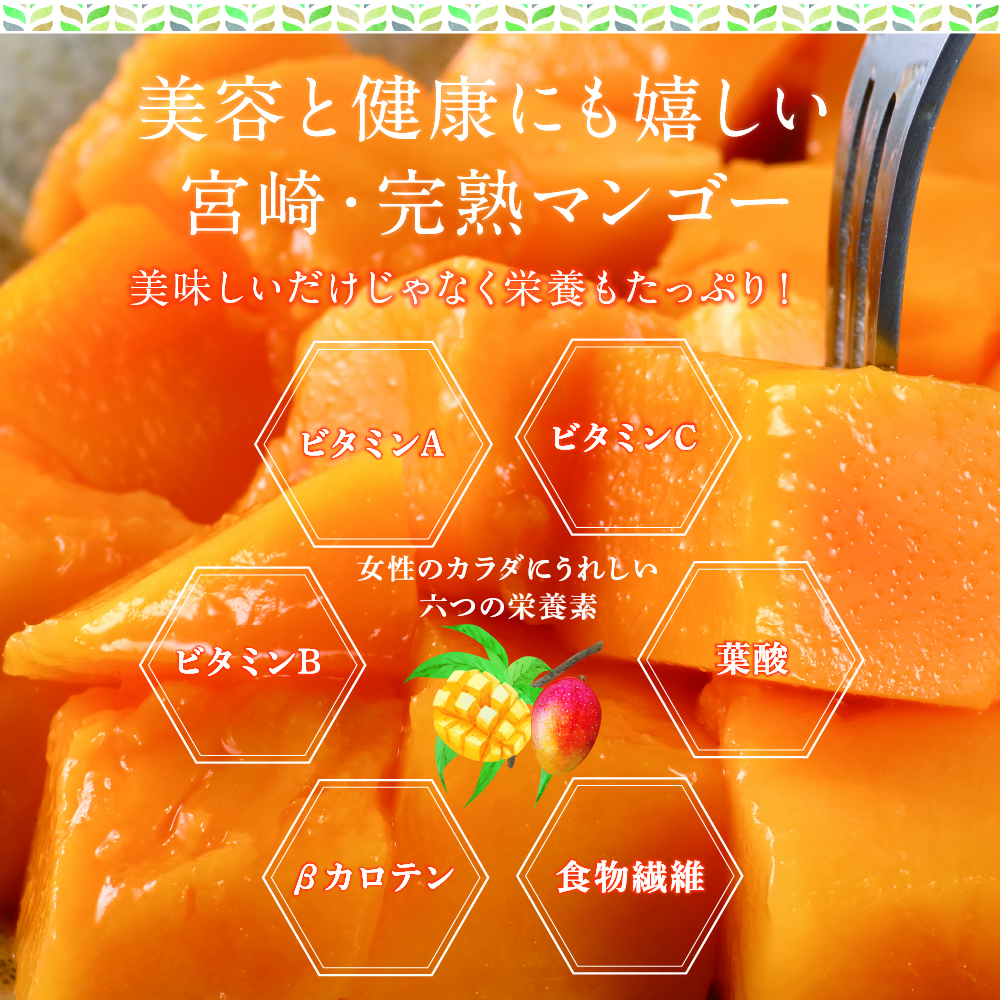 太陽のタマゴ（マンゴー）大玉1玉 | タマチャンショップ 公式